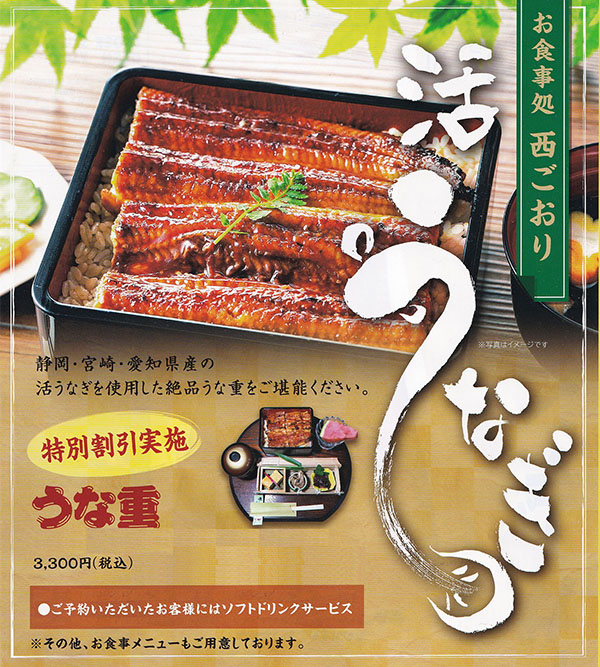 活うなぎ